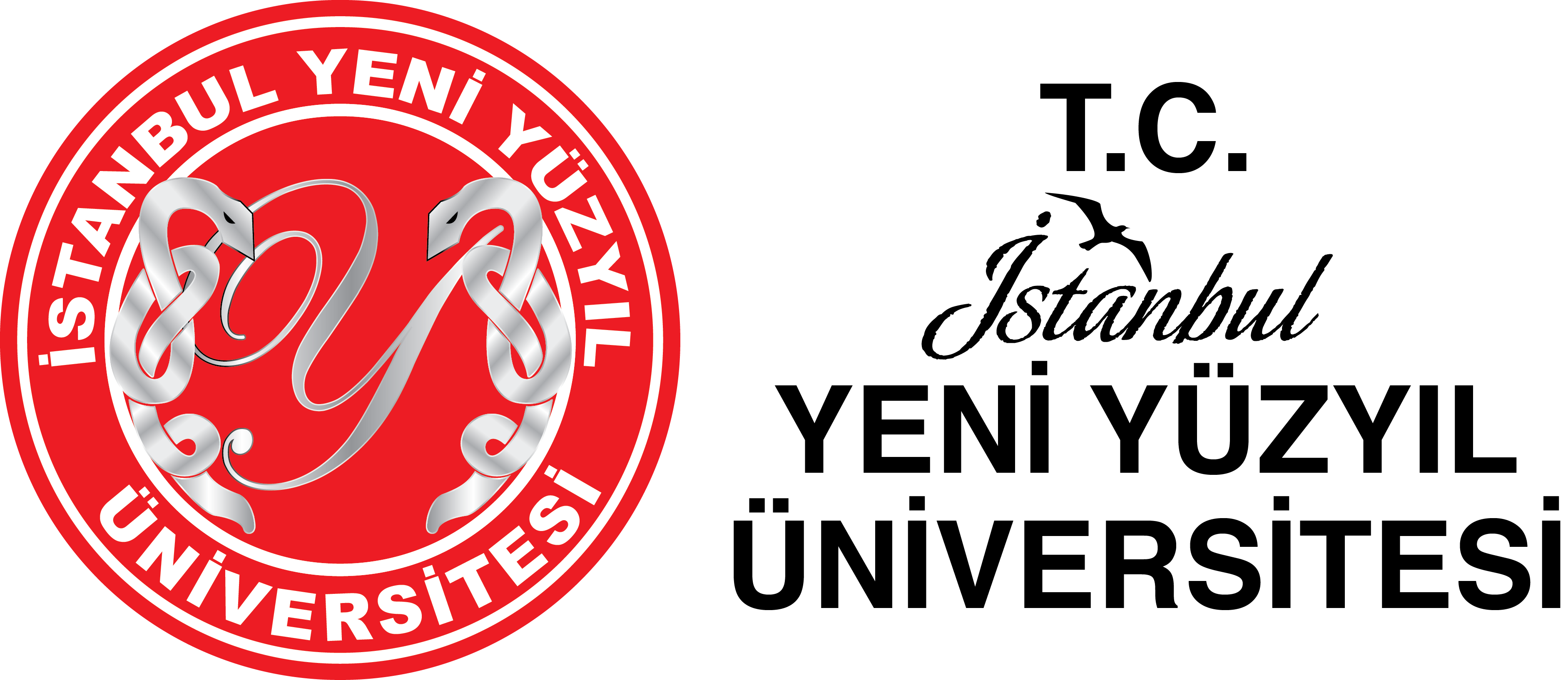 İstanbul Yeni Yüzyıl Üniversitesi