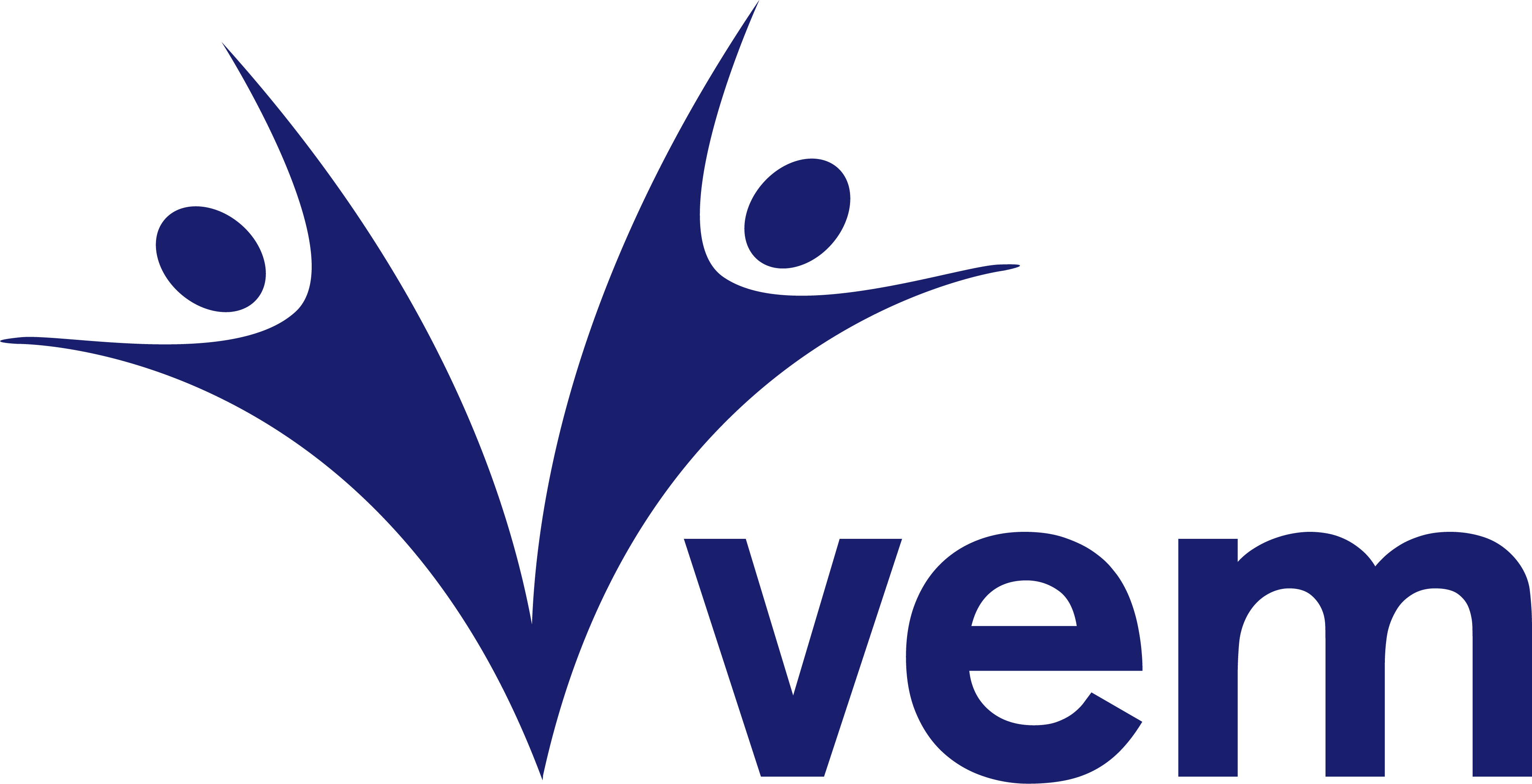 Vem İlaç San. Tic. AŞ.